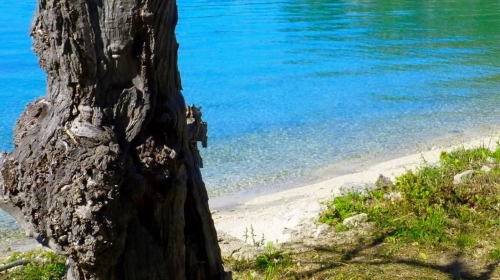 DUBROVNIK | UZ MORE, PRIRODNU PLAŽU, U ZELENILU - Stan 74,17 m² s terasama i vrtovima